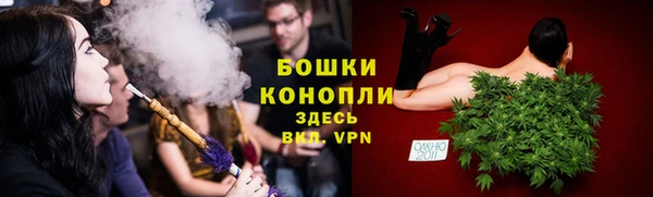 метадон Каменка