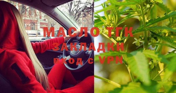 дмт Каменногорск