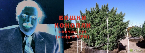 дмт Каменногорск