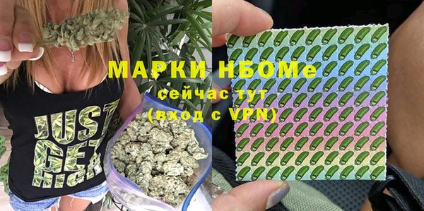 дмт Каменногорск