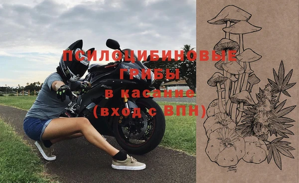 метадон Каменка