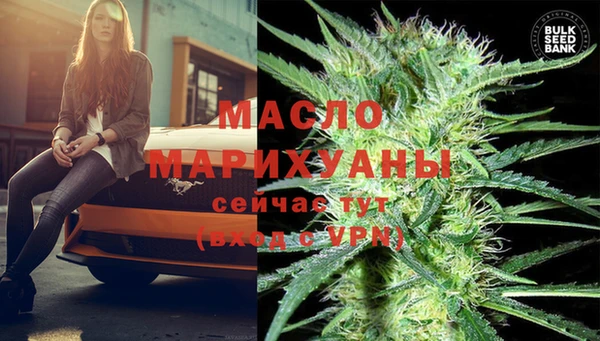 метадон Каменка
