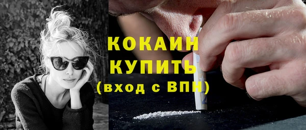 метадон Каменка