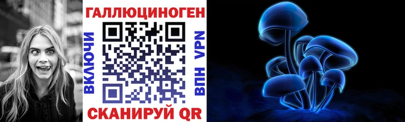 Купить где  Кудрово  Псилоцибиновые грибы Cubensis 