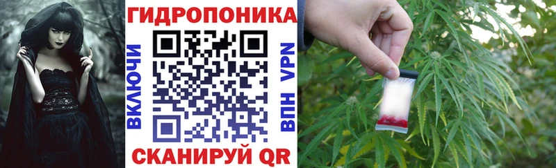 Купить где  Кудрово  Шишки марихуана OG Kush 